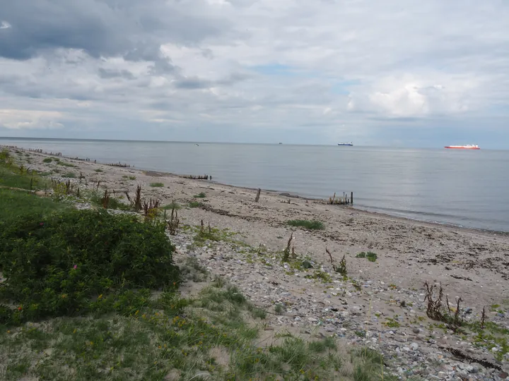 Halshuisene + Enebaerodde Beach (Denemarken)